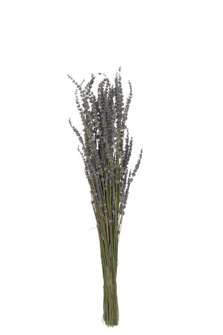 Natural Dried Lavender Bundle