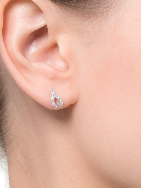 Stardust Wishbone Earrings