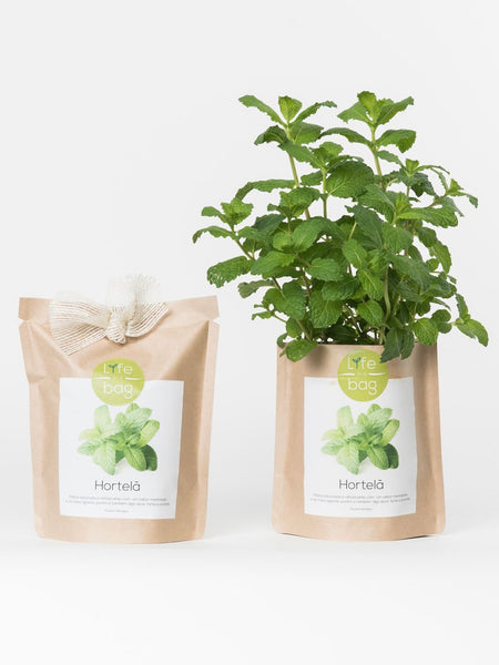 Grow Your Own Peppermint Bag