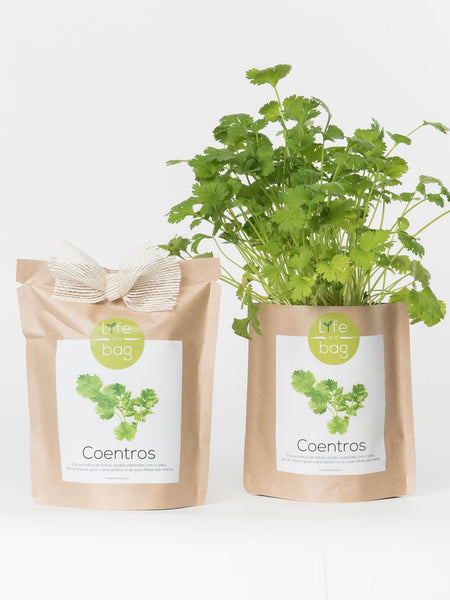 Grow Your Own Coriander Bag