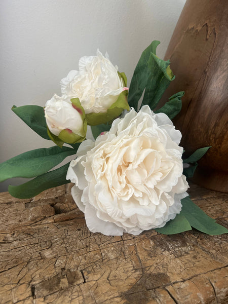 Ivory Full Bloom Ella Peony