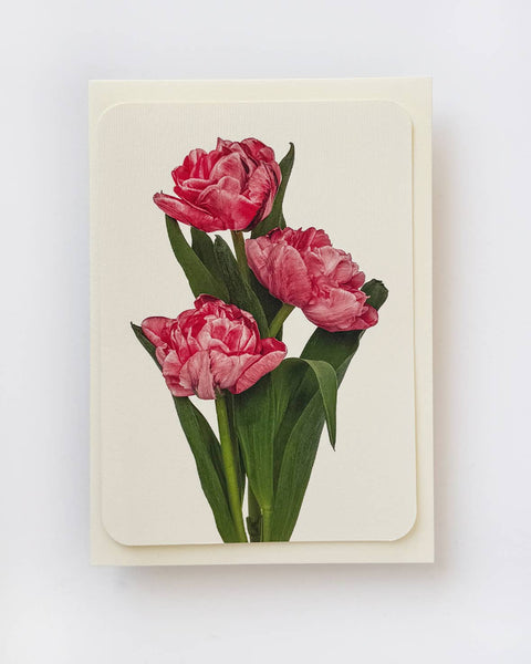 Pink Tulips Greeting Card by Canonbury Press