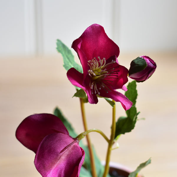 Faux Pink Hellebore In Pot