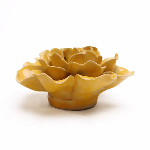 English Garden Yellow Rose
