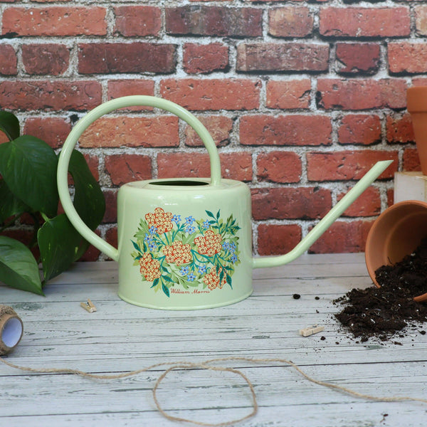 Orange Grove Watering Can William Morris Pattern