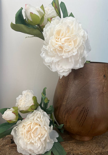 Ivory Full Bloom Ella Peony