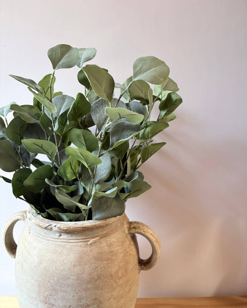 Eucalptus Bunch