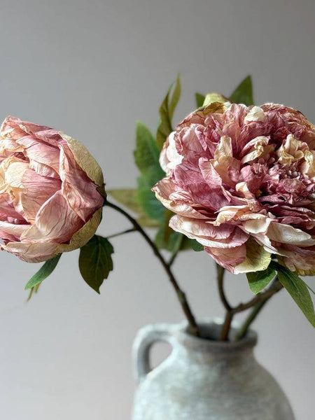 Dusty Pink Full Bloom Double Peony