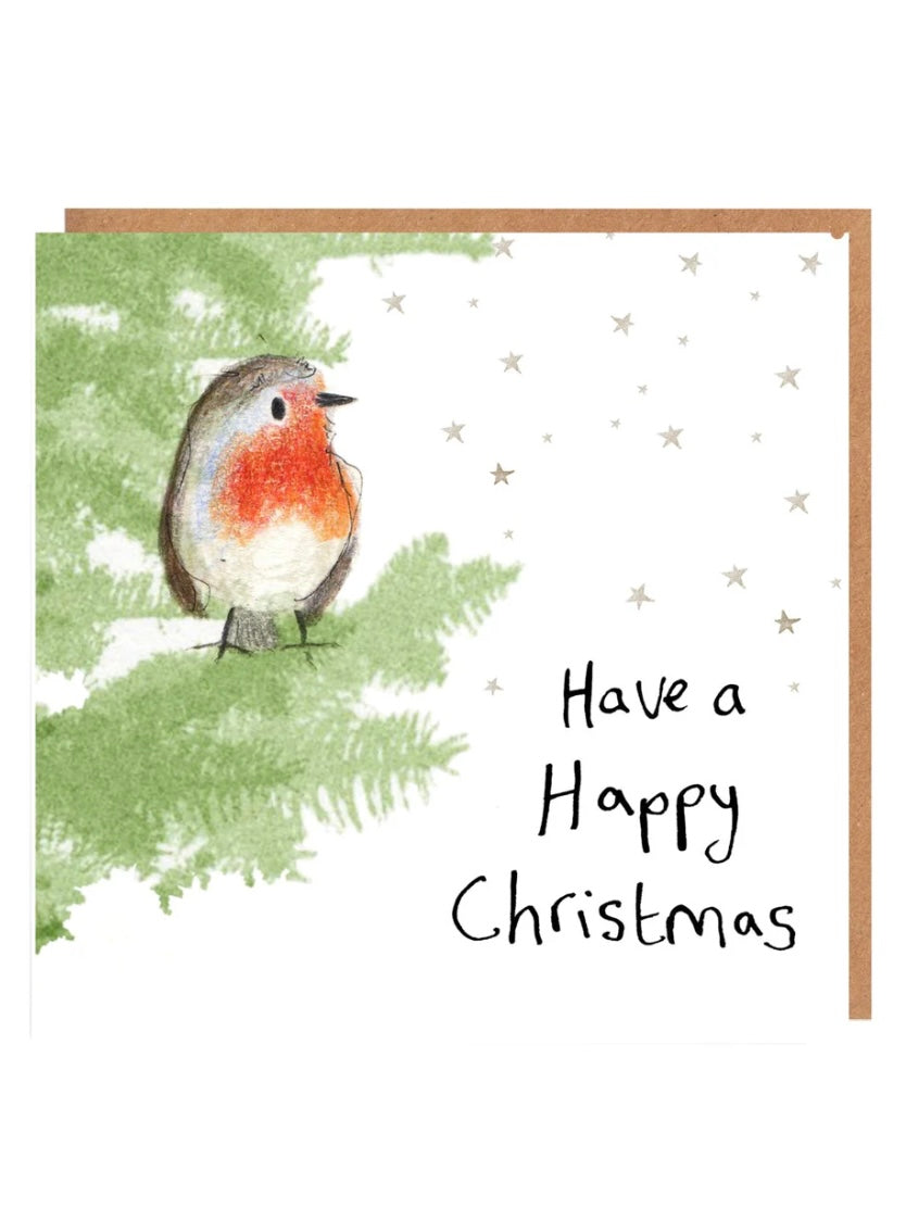 John Robin Charity Christmas Card