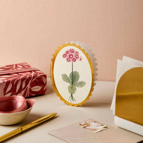 Mini Auricula Card by Wanderlust