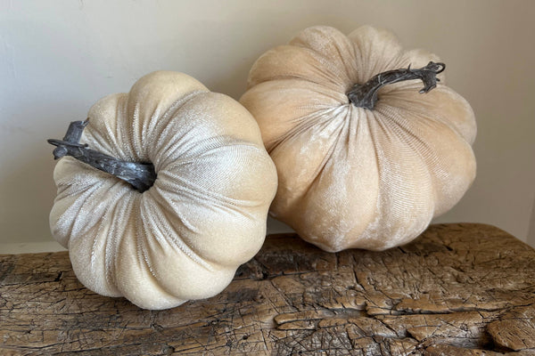 Ivory Velvet Pumpkin