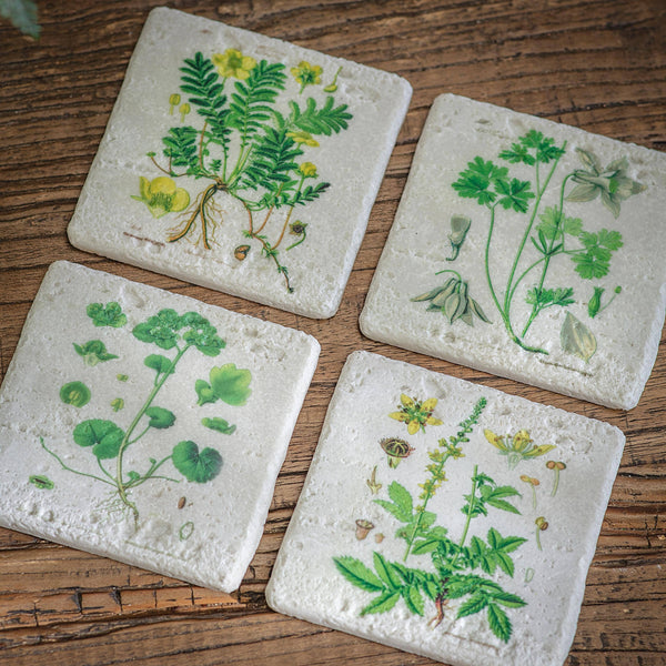 Botanical Coasters