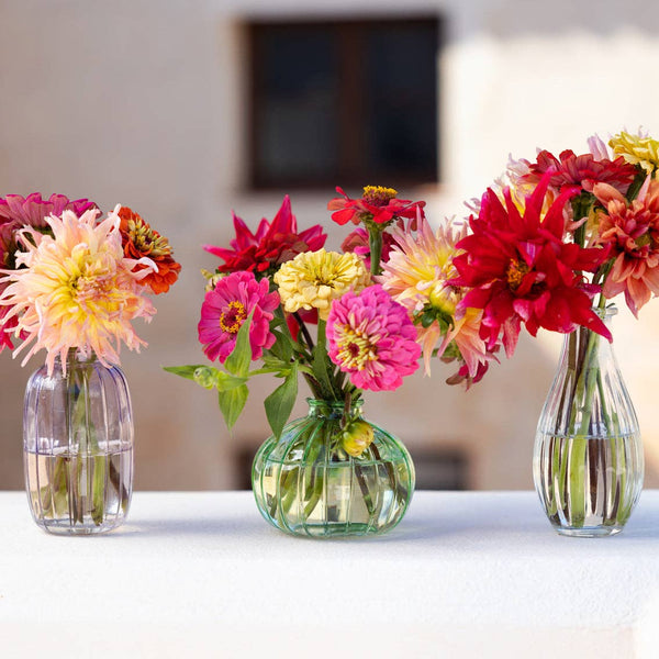 Clear Glass Bud Vase