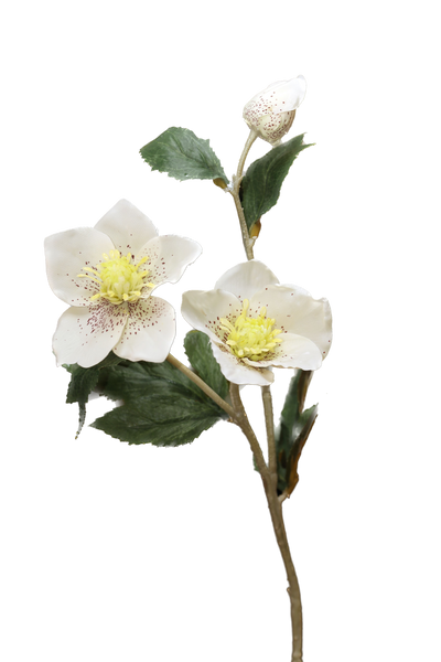 Artificial White Hellebores