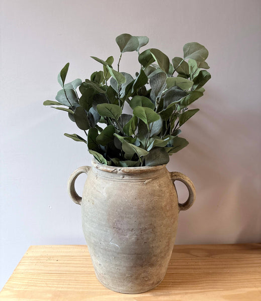 Eucalptus Bunch