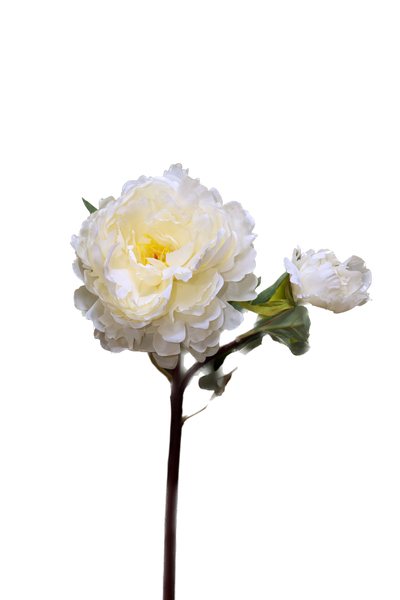 Artificial White Peony with Bud