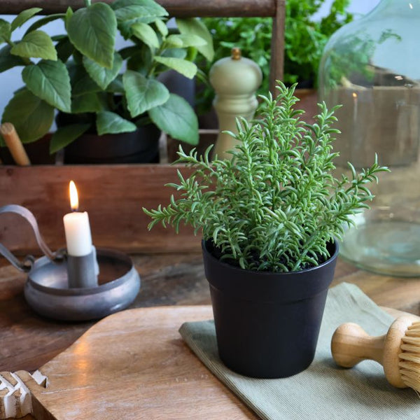 Artificial Rosemary Pot