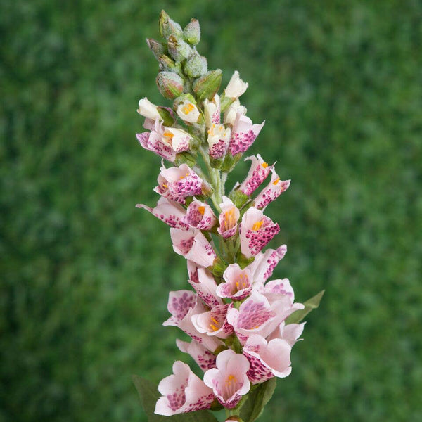 Artificial Pink Foxgloves