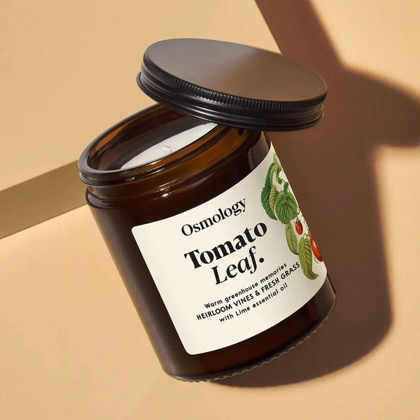 Tomato Leaf Scented Jar Candle By Aery