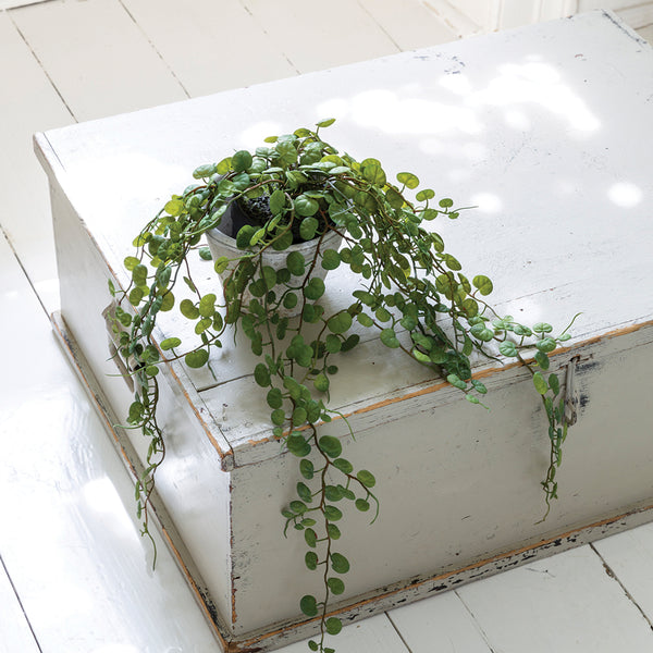 String Of Leaf Hearts In Pot By Grand Illusions