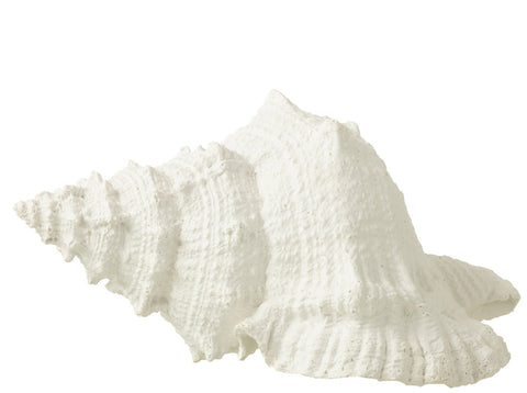 White Polyresin Decorative Shell