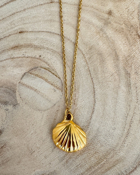 The Shell Shore Gold Plated Waterproof Necklace