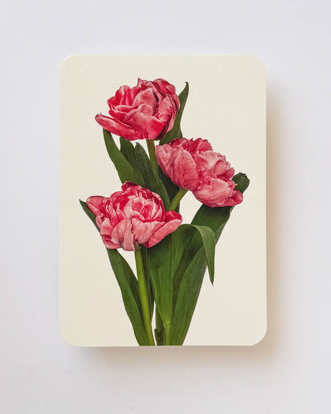Pink Tulips Greeting Card by Canonbury Press