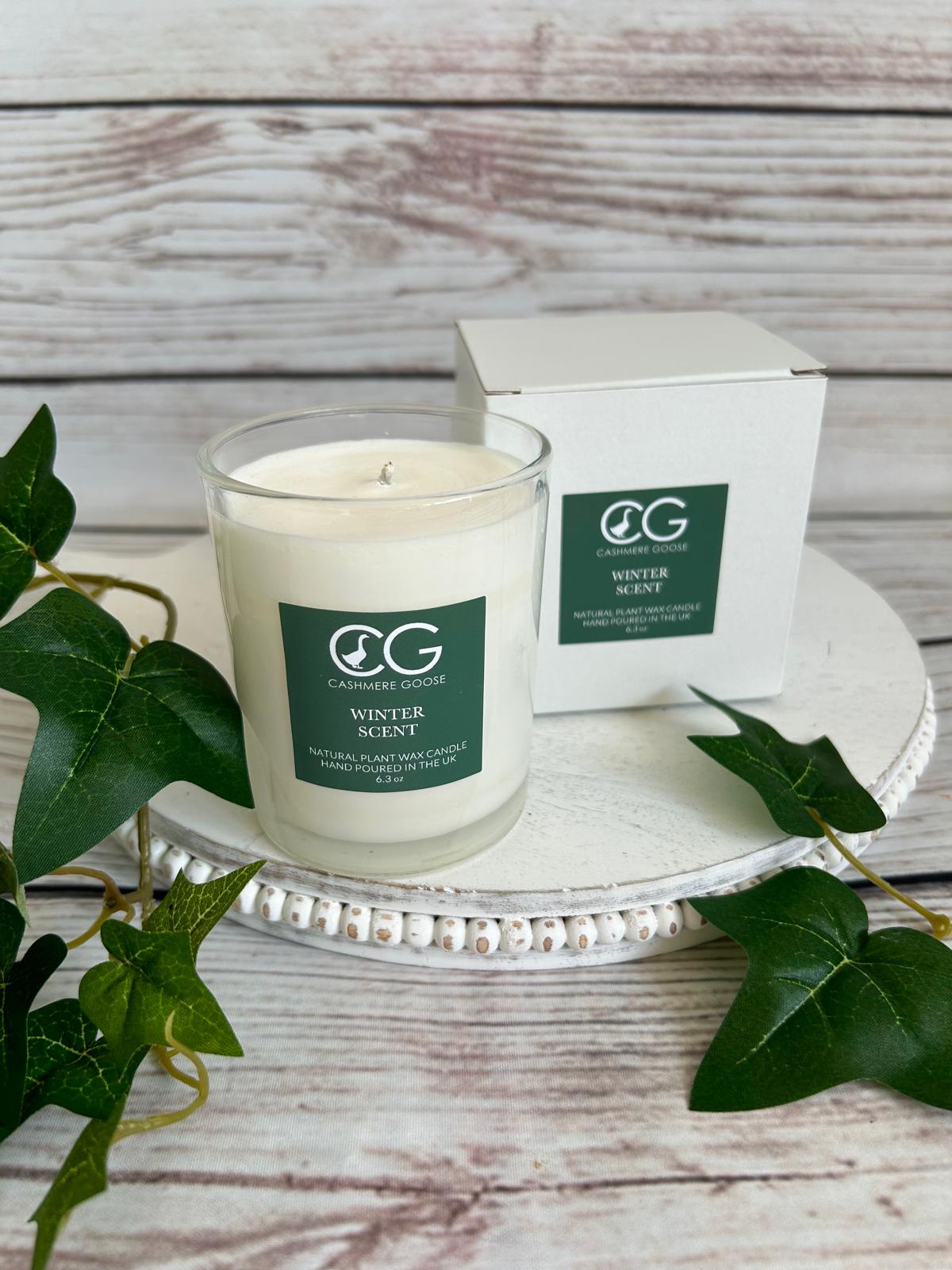 Winter Scent Boxed Candle