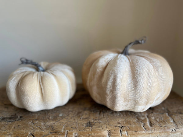 Ivory Velvet Pumpkin