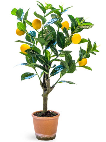Faux Ornamental Potted Lemon Tree