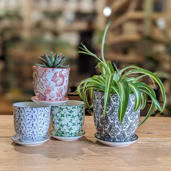 Blue Ceramic Pot with Saucer and Drainage Hole