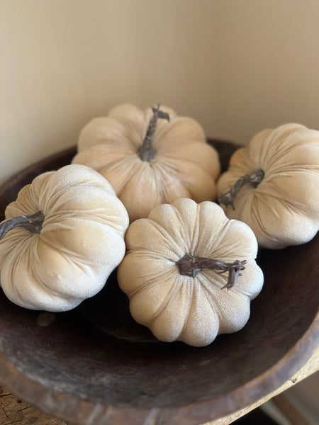 Ivory Velvet Pumpkin