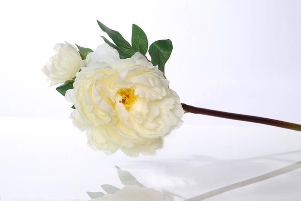 Artificial White Peony with Bud