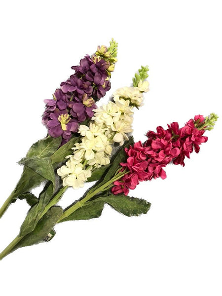 White Stocks Flower