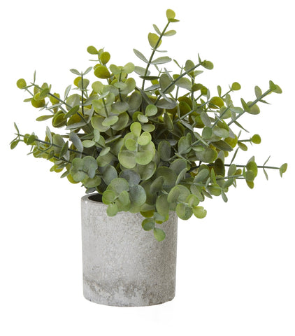 Small Faux Button Eucalyptus Plant In Grey Pot