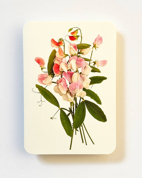 Pink Sweet Peas Birthday Card