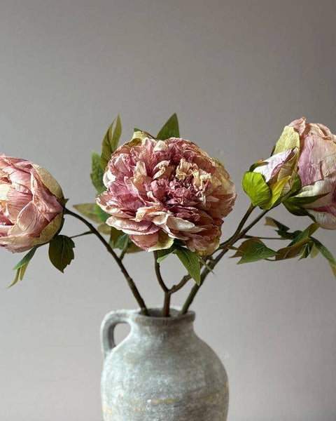 Dusty Pink Full Bloom Double Peony