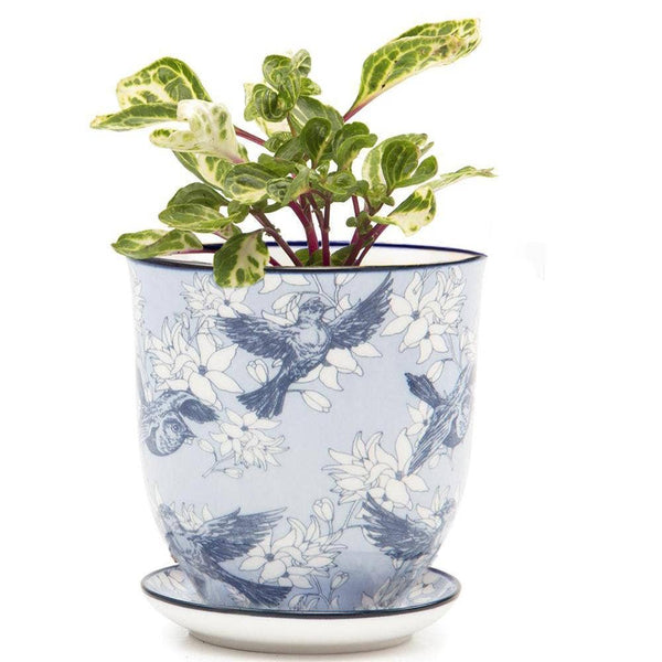 Blue Ceramic Pot with Saucer and Drainage Hole
