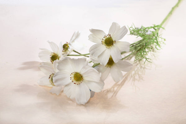 Artificial White Cosmos Daisy Silk Spray  Stem
