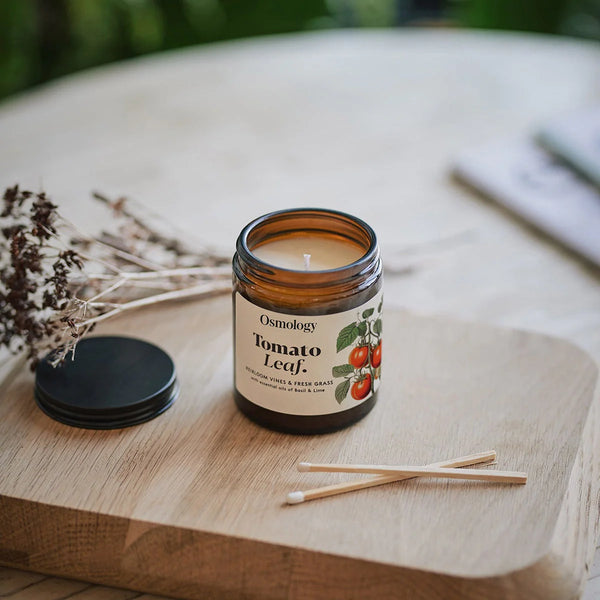 Tomato Leaf Scented Jar Candle By Aery