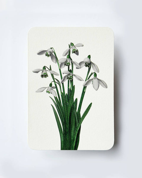 Snowdrops Greeting Card | Birthday Card | Luxury Cards