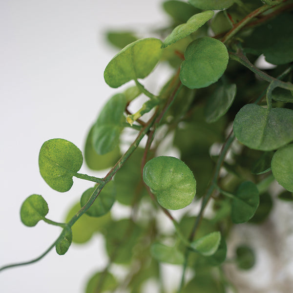 String Of Leaf Hearts In Pot By Grand Illusions