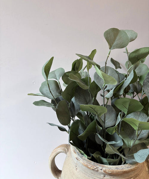 Eucalptus Bunch