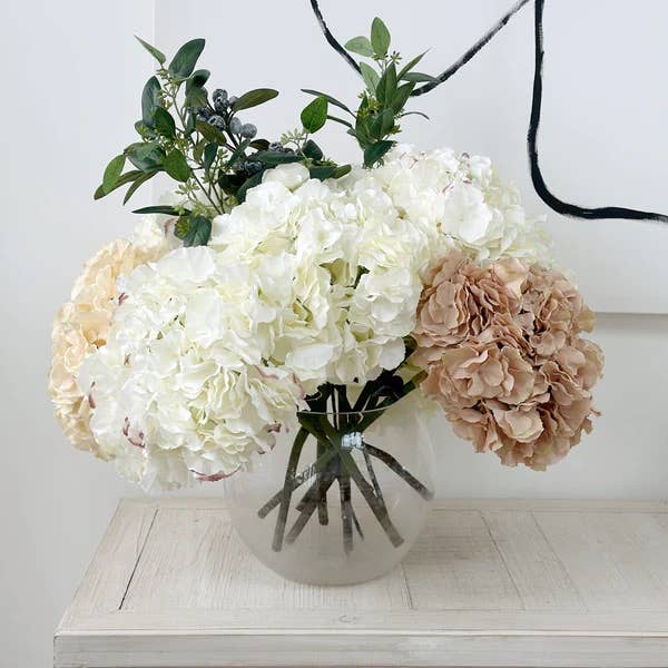 Pale Coffee Hydrangea Extra large Head