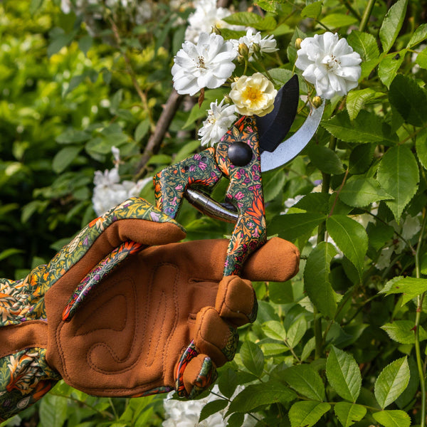 Orange Grove Secateurs - William Morris