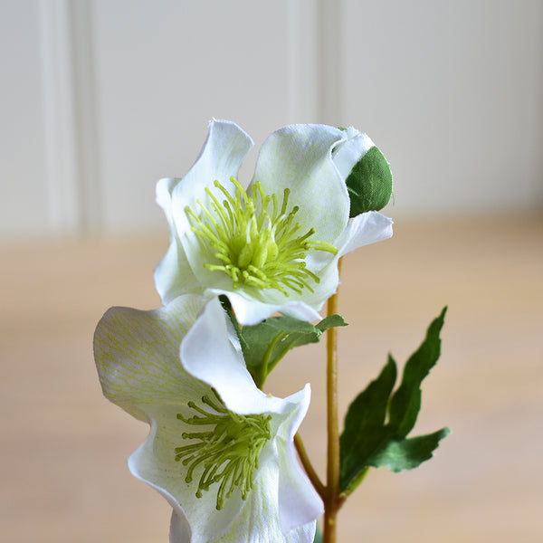 Faux White Hellebore In Pot