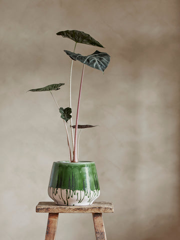 Green Paint-Drip Flower Pot