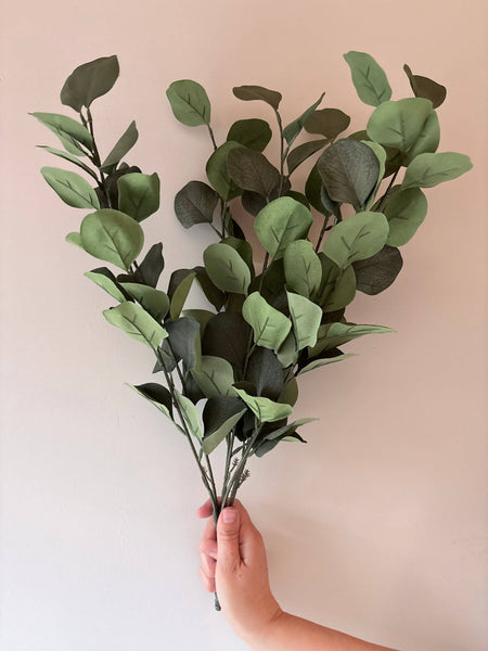Eucalptus Bunch