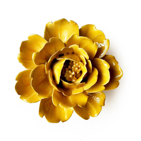 English Garden Yellow Rose