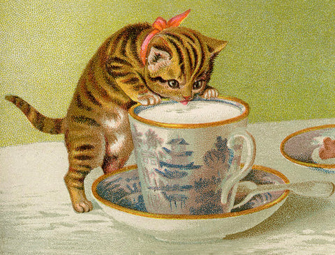 Little Vintage Kitten Teacup Blank Card by Madame Treacle